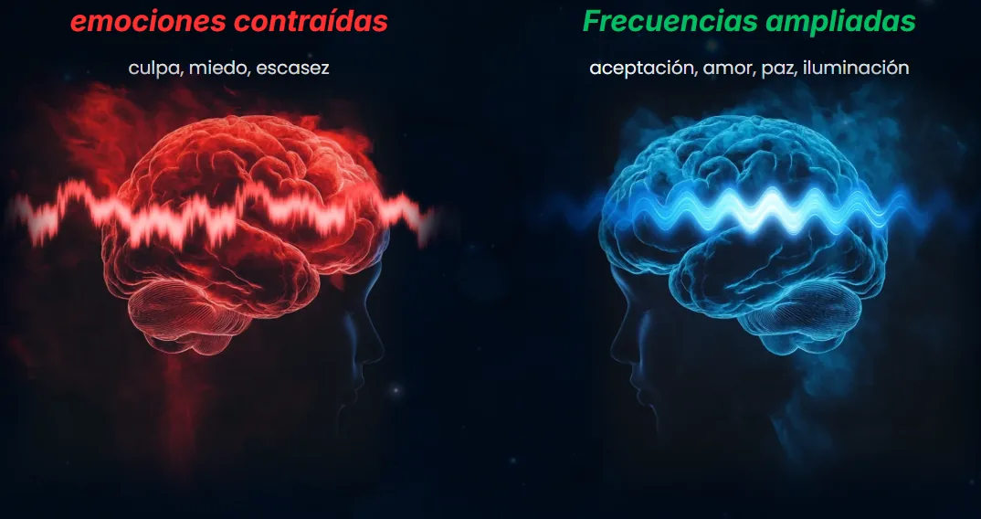 Emociones contraídas vs Frecuencias ampliadas